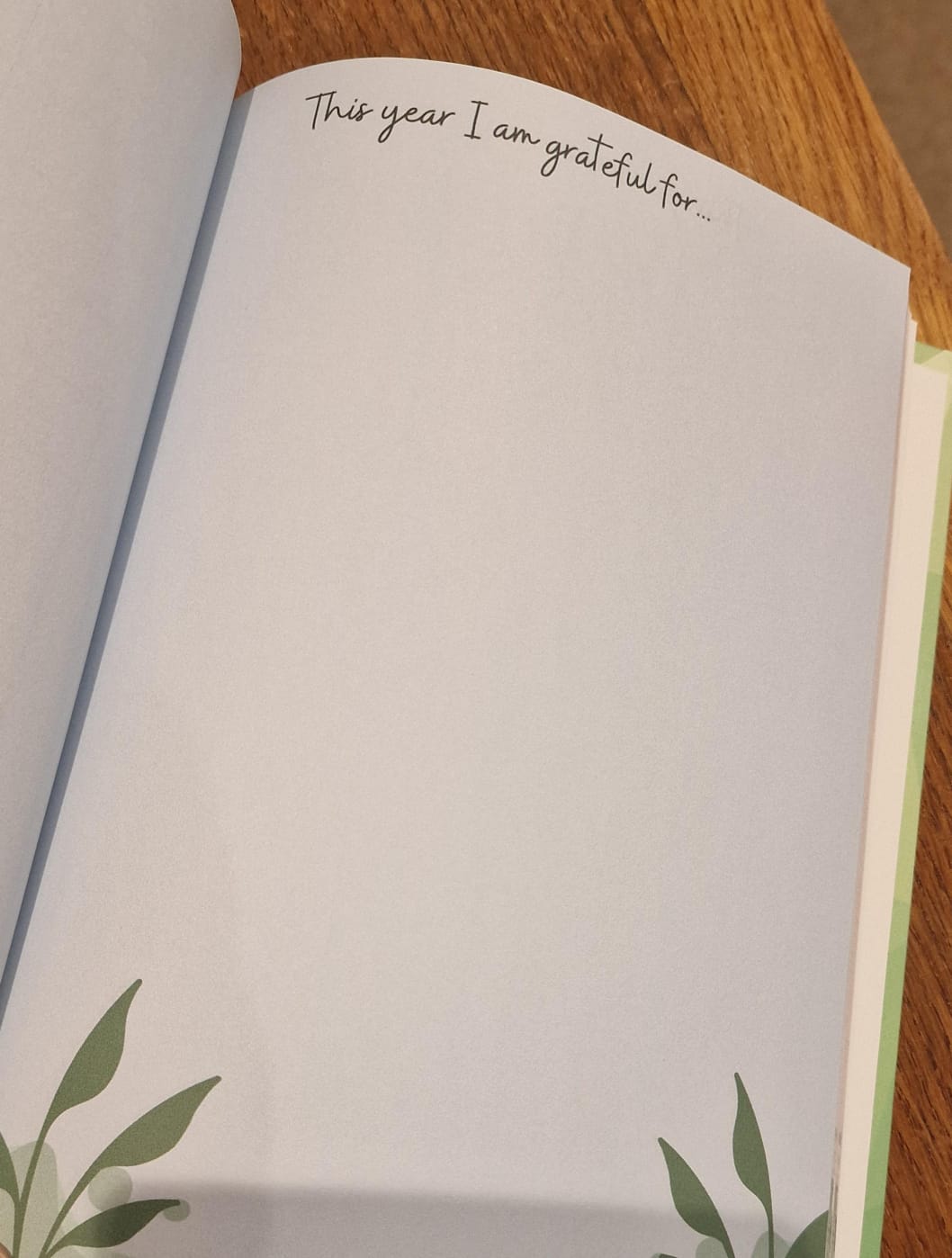5 year focus journal