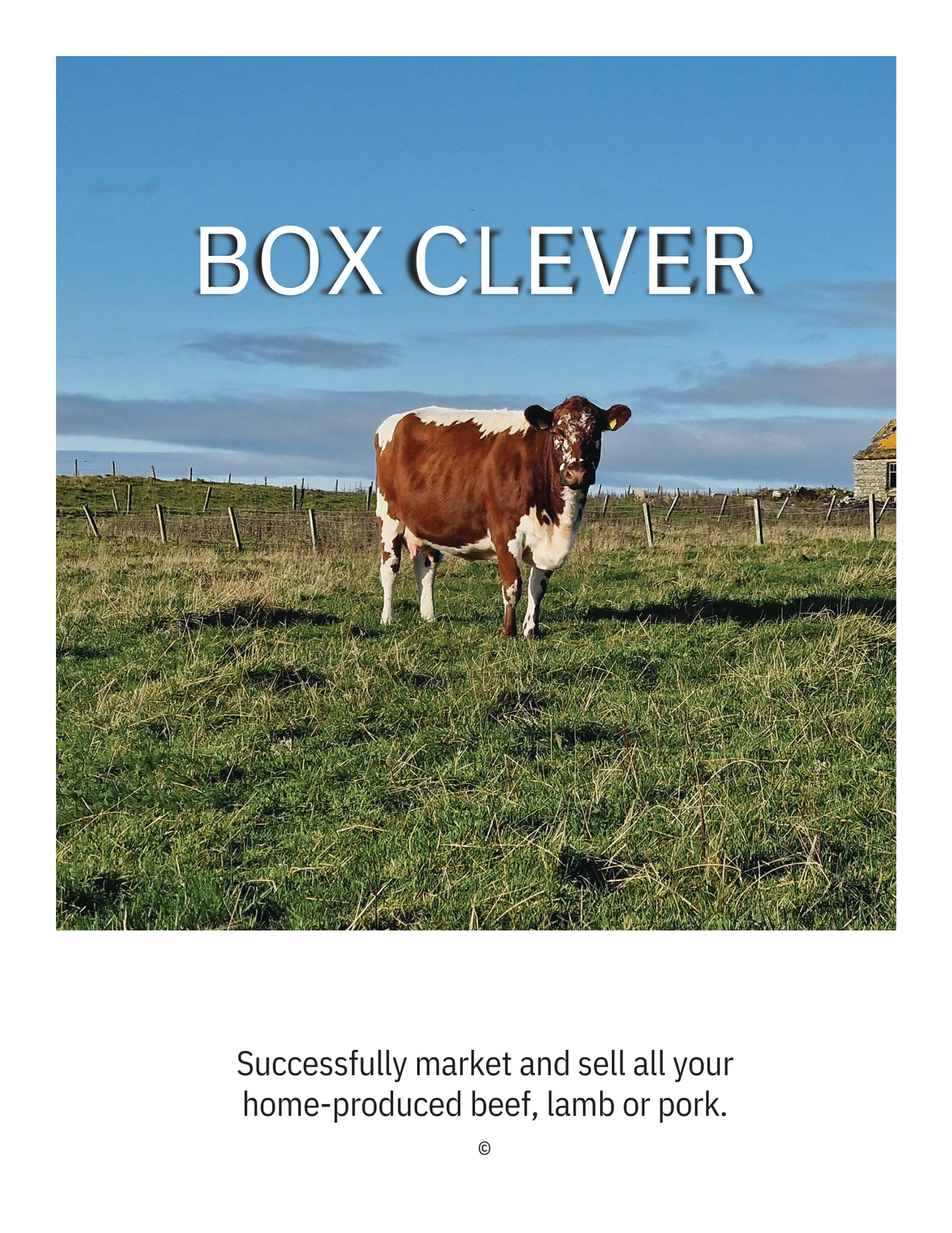 Box Clever: How to sell meat boxes directly to customers!