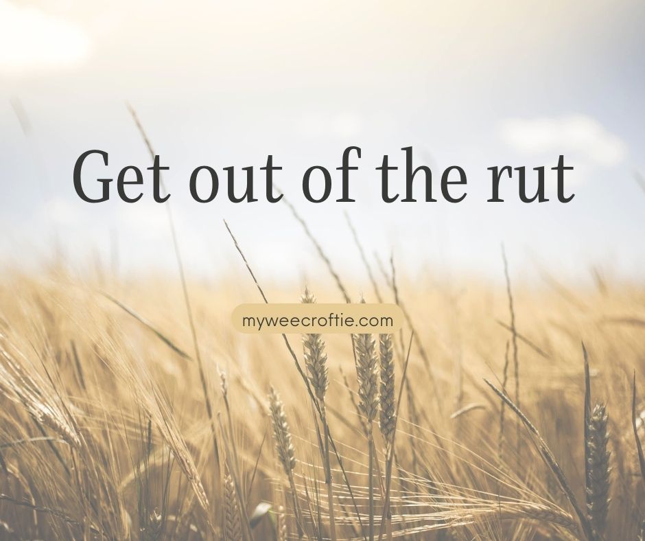 Get out of the Rut