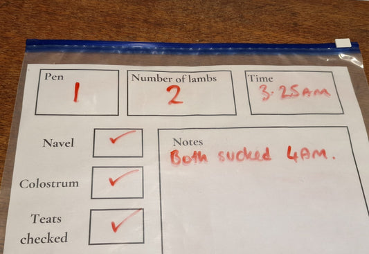 Lambing Organisation Bundle – Printable Shed Sheets for Lambing Season