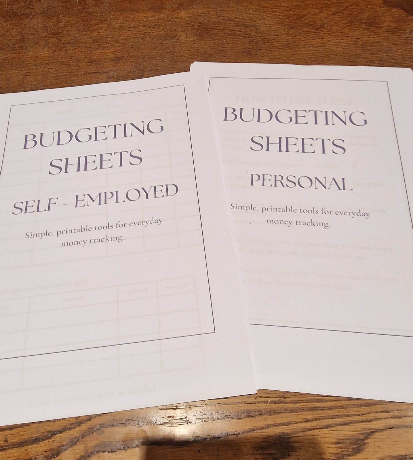 Self-Employed Budgeting Sheets (Personal + Business)