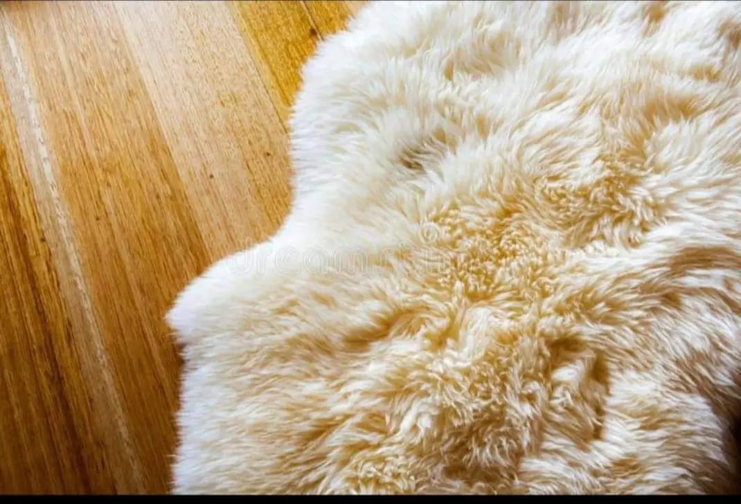 Sheepskin Rug